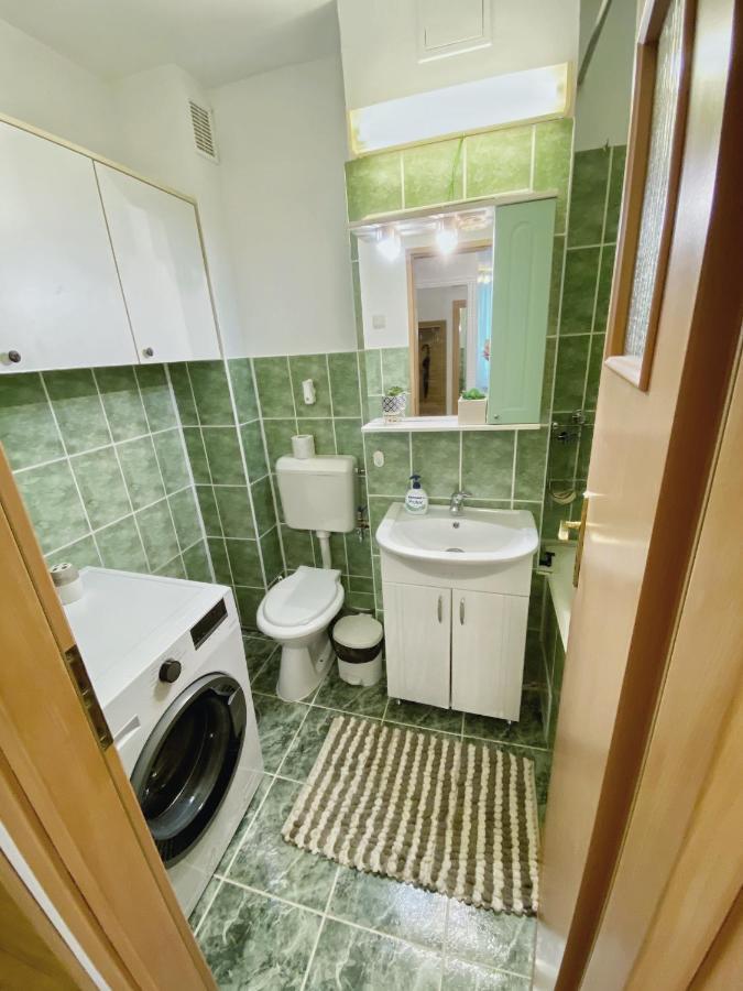 Timisoara Central Apartament Timişoara Exterior foto