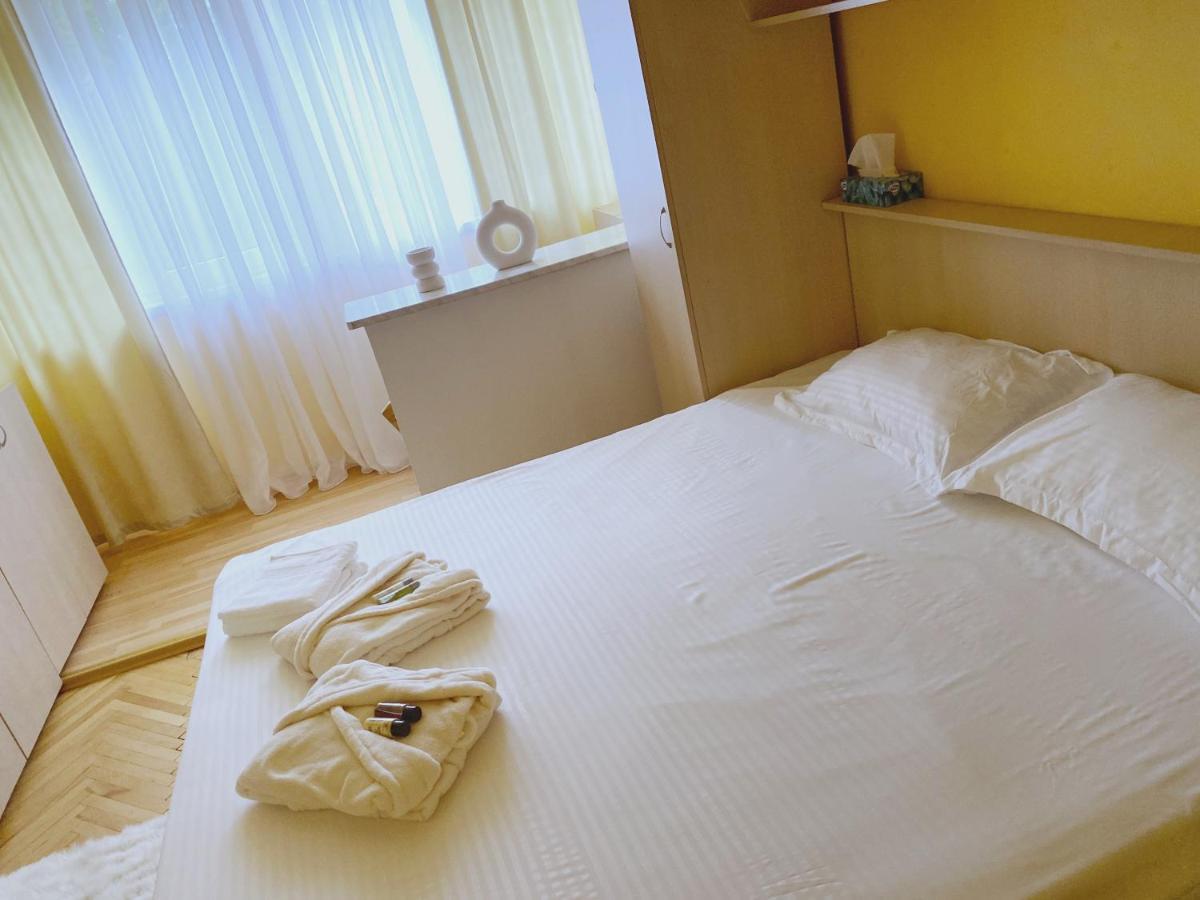 Timisoara Central Apartament Timişoara Exterior foto